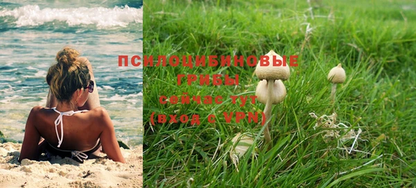 ГАЛЛЮЦИНОГЕННЫЕ ГРИБЫ Арсеньев