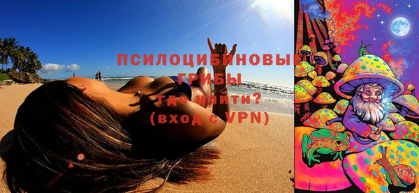 ГАЛЛЮЦИНОГЕННЫЕ ГРИБЫ Арсеньев