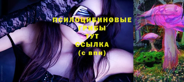 ГАЛЛЮЦИНОГЕННЫЕ ГРИБЫ Арсеньев