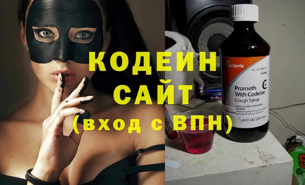 ГАЛЛЮЦИНОГЕННЫЕ ГРИБЫ Арсеньев